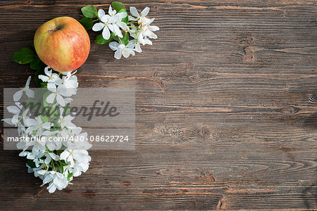 apple and apple flowers on a blackboard