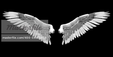 white wings - 3D isolated illustration over black background