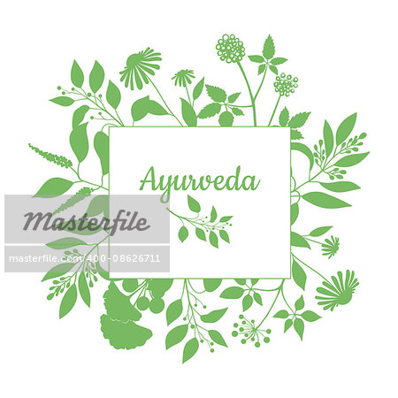 Fresh herbs store emblem. Green square frame with collection ayurveda plants. Silhouette of branches isolated on white background