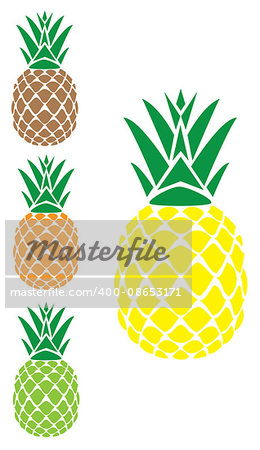 vector illustration of a set of pineapples