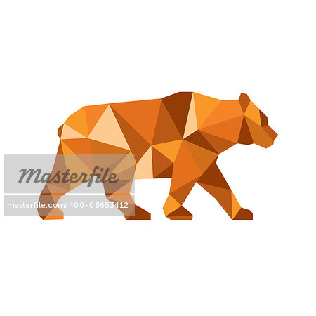 Low polygon style Illustration of an American black bear,Ursus americanus, a medium-sized bear native to North America viewed from side set on isolated white background.