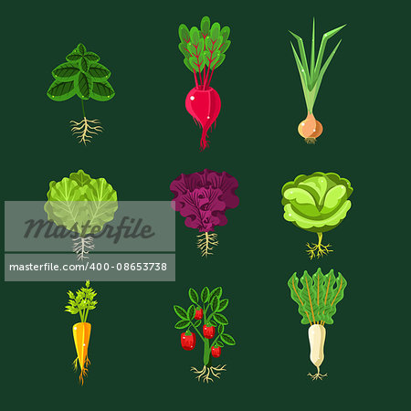 Fresh Vegetable Plants With Roots Set In Realistic Cartoon Cool Flat Vector Design Isolated On Black Background