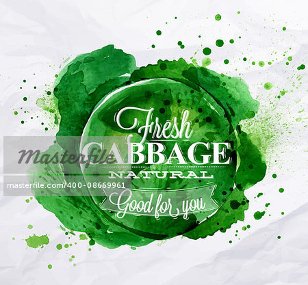 Poster with green watercolor cabbage lettering fresh cabbage natural good for yo