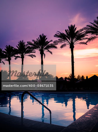Sunset over pool with palm trees in silhouette against serene beautiful summers evening sky.