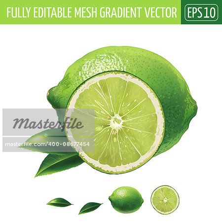 Lime with leaves. Isolated illustration on white background.