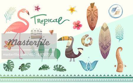 Vector set tropical plants and animals. Tropical flowers and leaves. Illustrations can be used on the cover, flyers, printing, fabric, books.