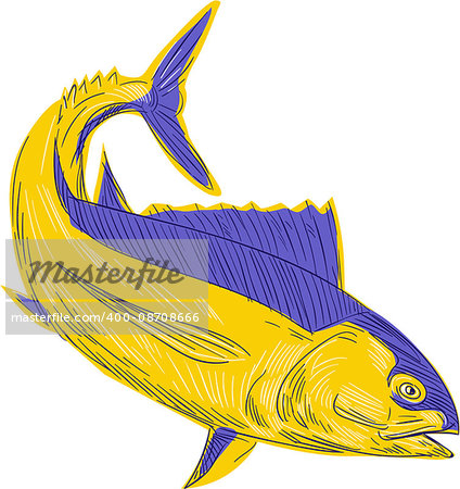 Drawing sketch style illustration of albacore tuna fish also known as  albacore fish,albicore, albie, pigfish, tombo ahi, binnaga, Pacific albacore, bonito del Norte, German bonito , longfin, longfin tuna and longfin tunny viewed from the side set on isolated white background.