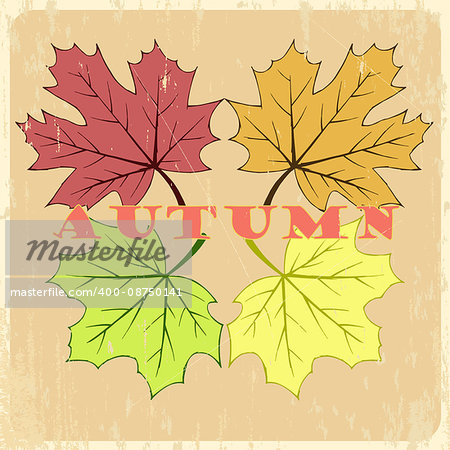 Vector autumn leaves typography. Hand drawn maple leaves background.