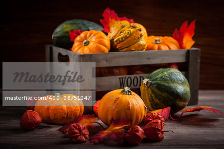 Pumpkins for Thanksgiving and  Halloween