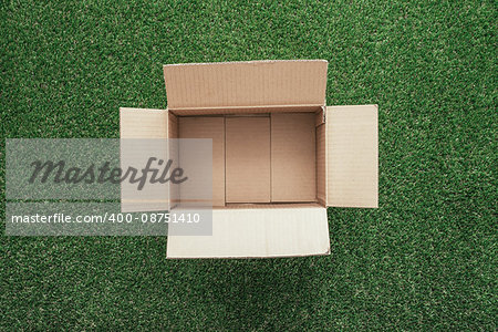 Open cardboard box on lush grass, delivery and environment concept