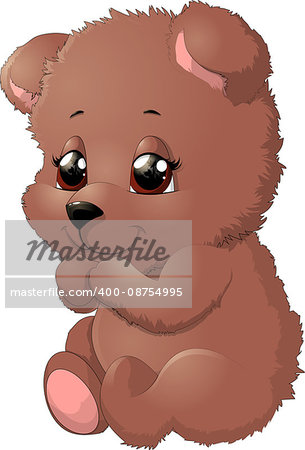 Beautiful Bear in pose on white background