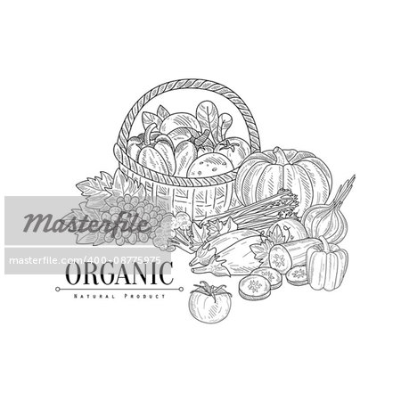 Organic Farm Products Still Life Hand Drawn Realistic Sketch. Hand Drawn Detailed Contour Illustration On White Background.