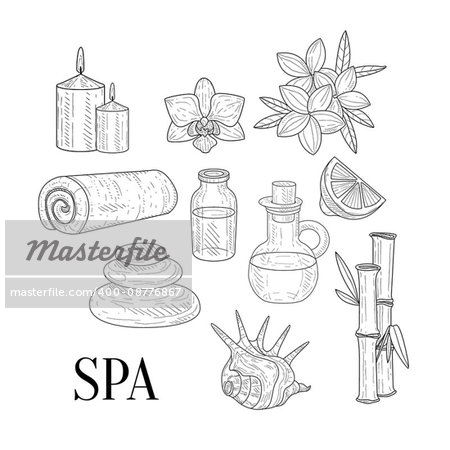 Spa Assosiated Isolated Hand Drawn Realistic Sketches. Artistic Pencil Detailed Contour Illustration On White Background.