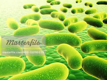 Pathogen bacteria on the surface.  3d render