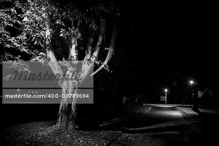 Rural street scene at night, black and white with trees lit by lamp post. Empty streets in Autumn