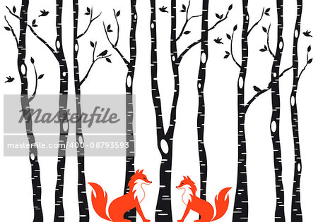 Cute foxes in birch tree forest, vector illustration over white background
