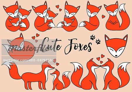 Cute foxes, little baby fox, hand drawn illustration, vector set