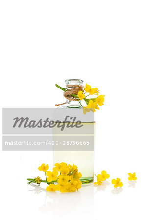 Rapeseed oil and flower isolated on white background.