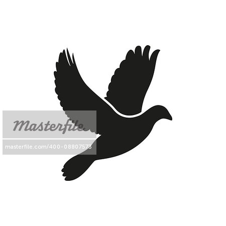 Simple black one single flying dove side silhouette icon on white