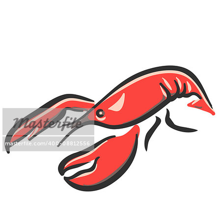 marine red lobster illustration of hands on a white background