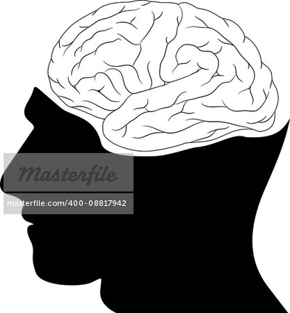 Human silhouette head and brain wiev vector