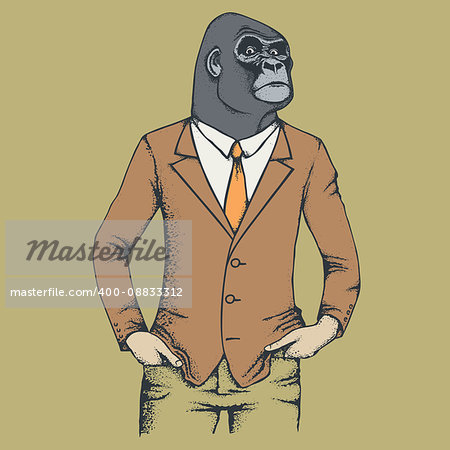 Monkey vector concept. Illustration of African gorilla in human suit. The most dangerous ape and biggest monkey