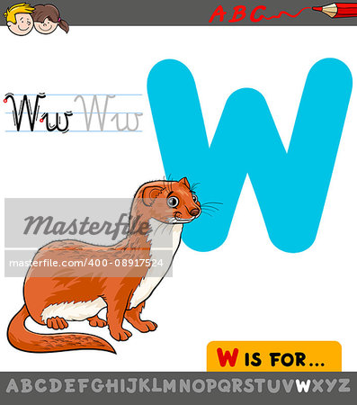 Educational Cartoon Illustration of Letter W from Alphabet with Weasel Animal Character for Children
