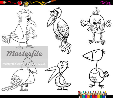 Black and White Cartoon Illustration of Fantasy Birds Animal Characters Set Coloring Page