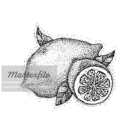 Lemon Fruit Dotwork. Raster Illustration of Citrus Food. Tattoo Hand Drawn Sketch.