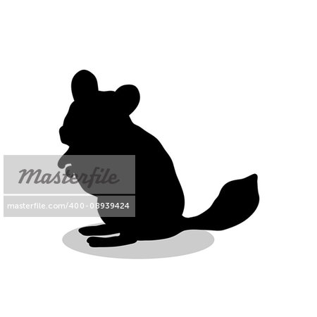 Chinchilla pet rodent black silhouette animal. Vector Illustrator.