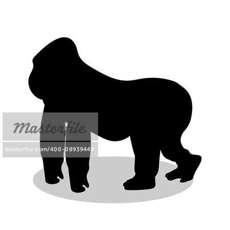 Gorilla monkey primate black silhouette animal. Vector Illustrator.