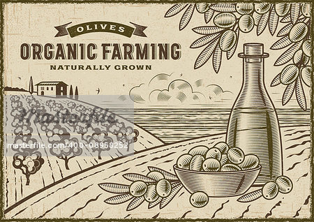 Vintage organic farming label on olive harvest landscape. Editable EPS10 vector illustration in woodcut style with clipping mask.