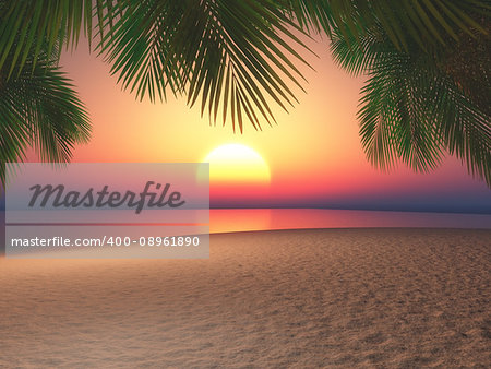 3D render of a beach and palm trees against a sunset sky