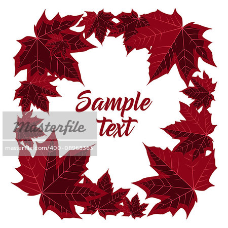 Vector illustration of maple leaves. Frame with red leaf on white background