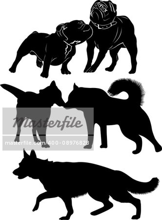 dogs. Dogs black silhouette isolated. Bulldog. pug. Shepherd. Like. Malamute