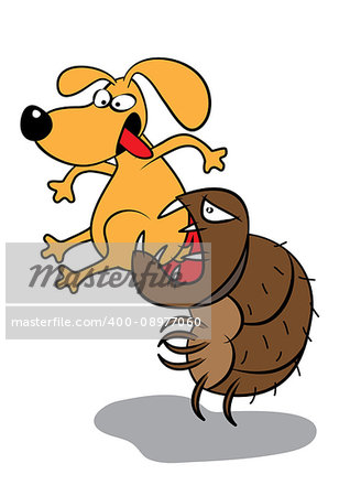 pet dog flea infestation attack vector illustration