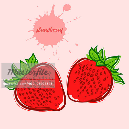 hand draw of strawberry vector illustration of isolated colorful