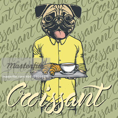 Breakfast vector concept. Illustration of pug dog with croissant and coffee