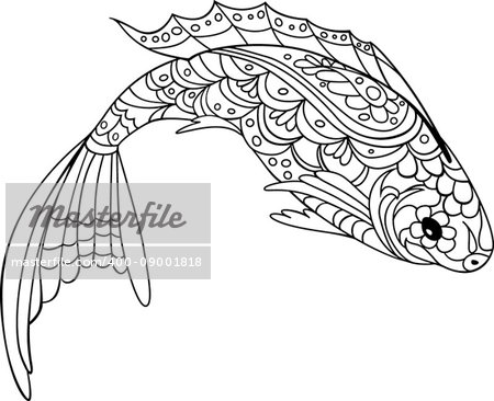 Zentangle style fish. Coloring book for adult and kids, antistress coloring pages. Hand drawn vector isolated illustration on white background. Henna mehendi, tattoo sketch
