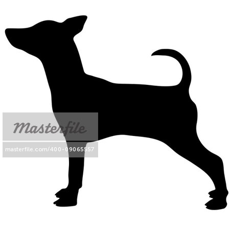 Silhouette of a dog.Vector illustration of doberman pinscher. Bloodhound