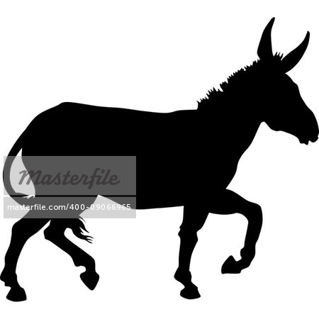 black and white vector silhouette of donkey