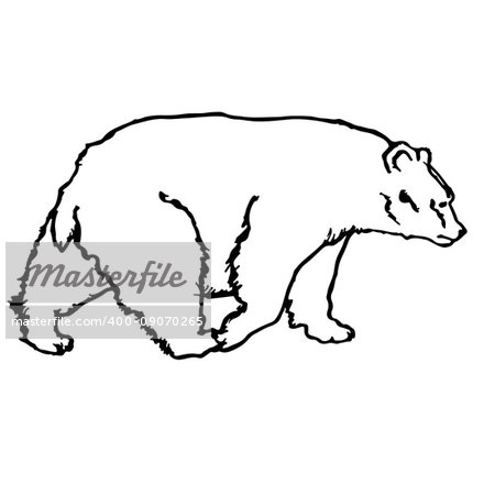 black and white vector bear silhouette for painting