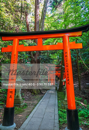 Fushimi Inari Taisha torii shrine, Kyoto, Japan