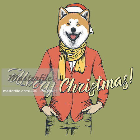 Akita dog vector Christmas concept. Illustration of dog  in human suit celebrating new year