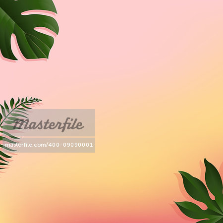 Summer Banner With Tropical Leaf, Vector Illustration, With Gradient Mesh