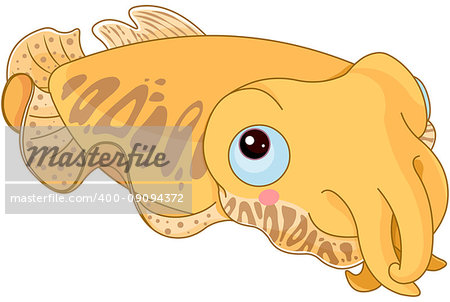 Illustration of cute cuttle fish