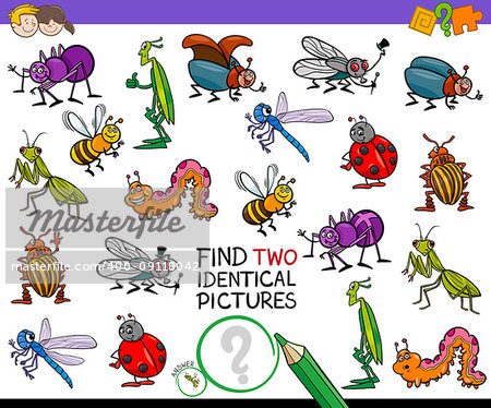 Cartoon Illustration of Finding Two Identical Pictures Educational Game for Children with Insects Animal Characters