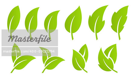 Eco design element. Set of green leaf