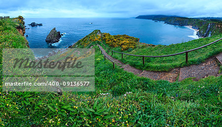 Evening Costa de Loiba landscape with flowers and footpath to beach (Asturias, Spain). Four shots stitch high-resolution panorama.