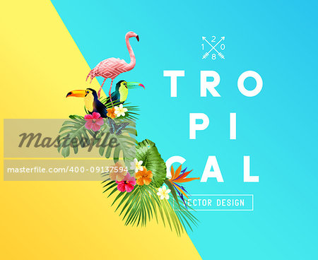 A set of bright tropical floral elements with Hibiscus flowers, toucans and Flamingos and a set of palm leaves. Vector illustration